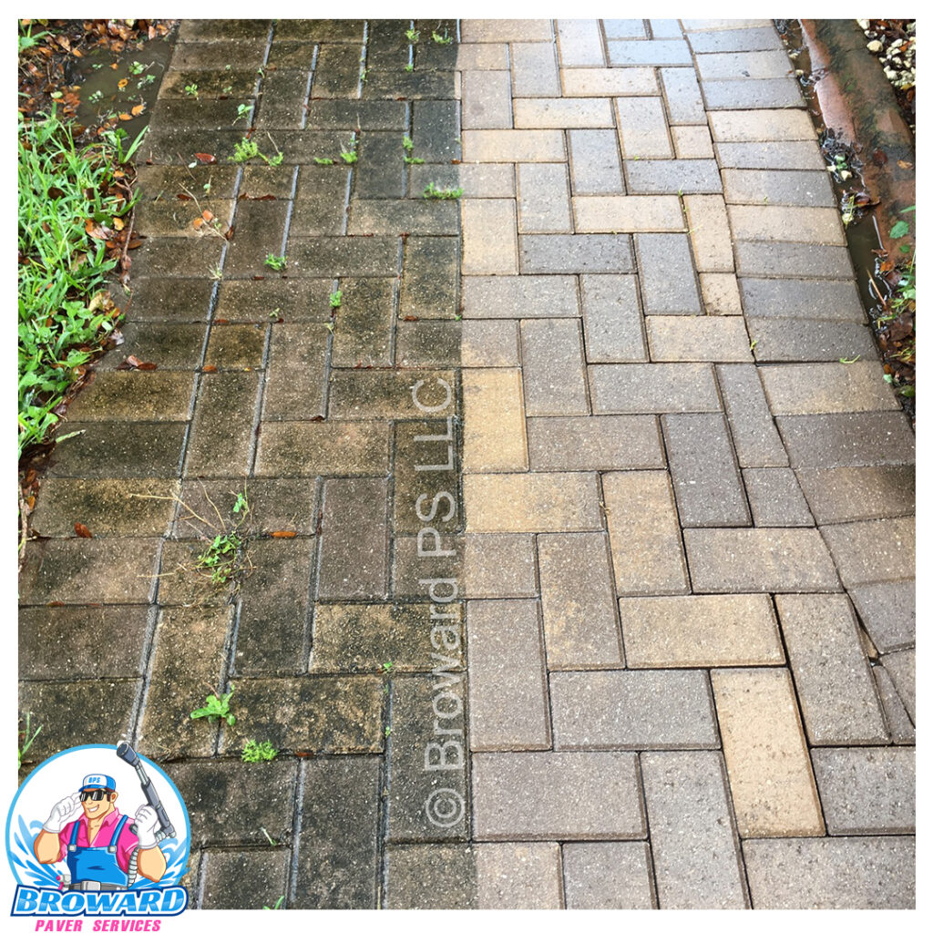 paver cleaning companies
