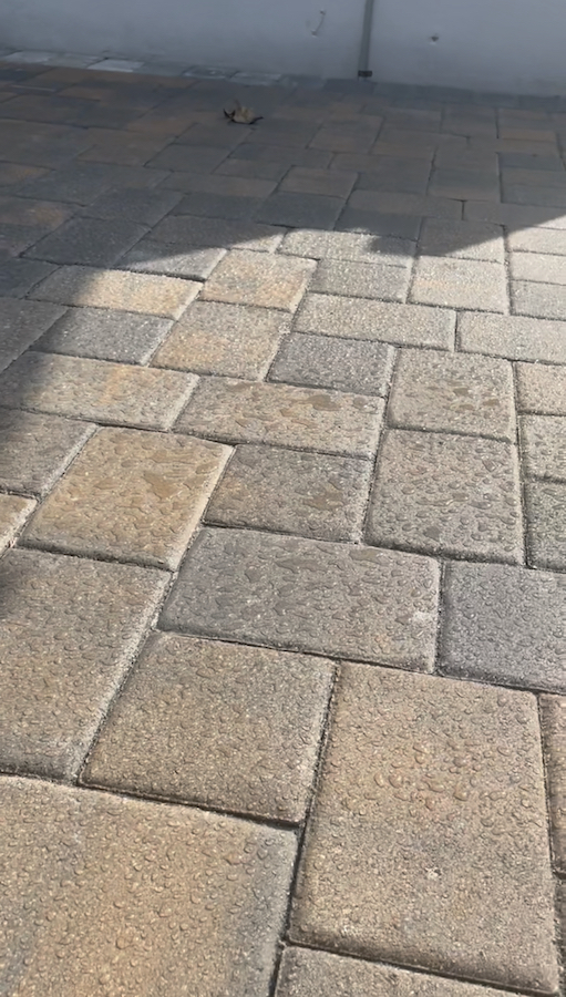 Davie paver installation near me